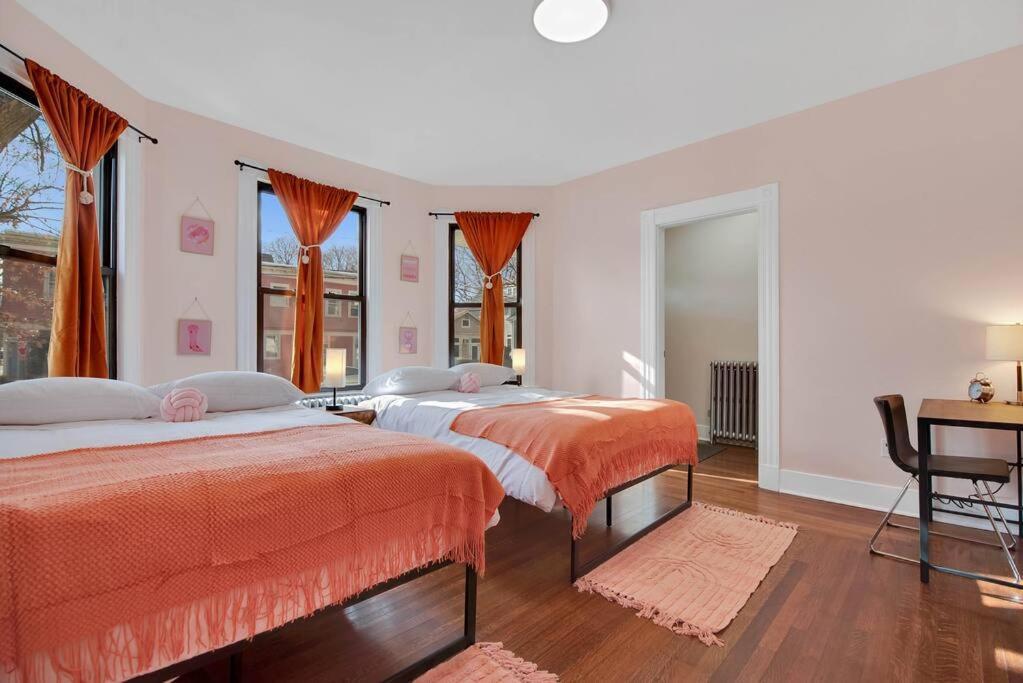 Peachy Paradise In East Rock Near Dt/Yale نيو هافن المظهر الخارجي الصورة